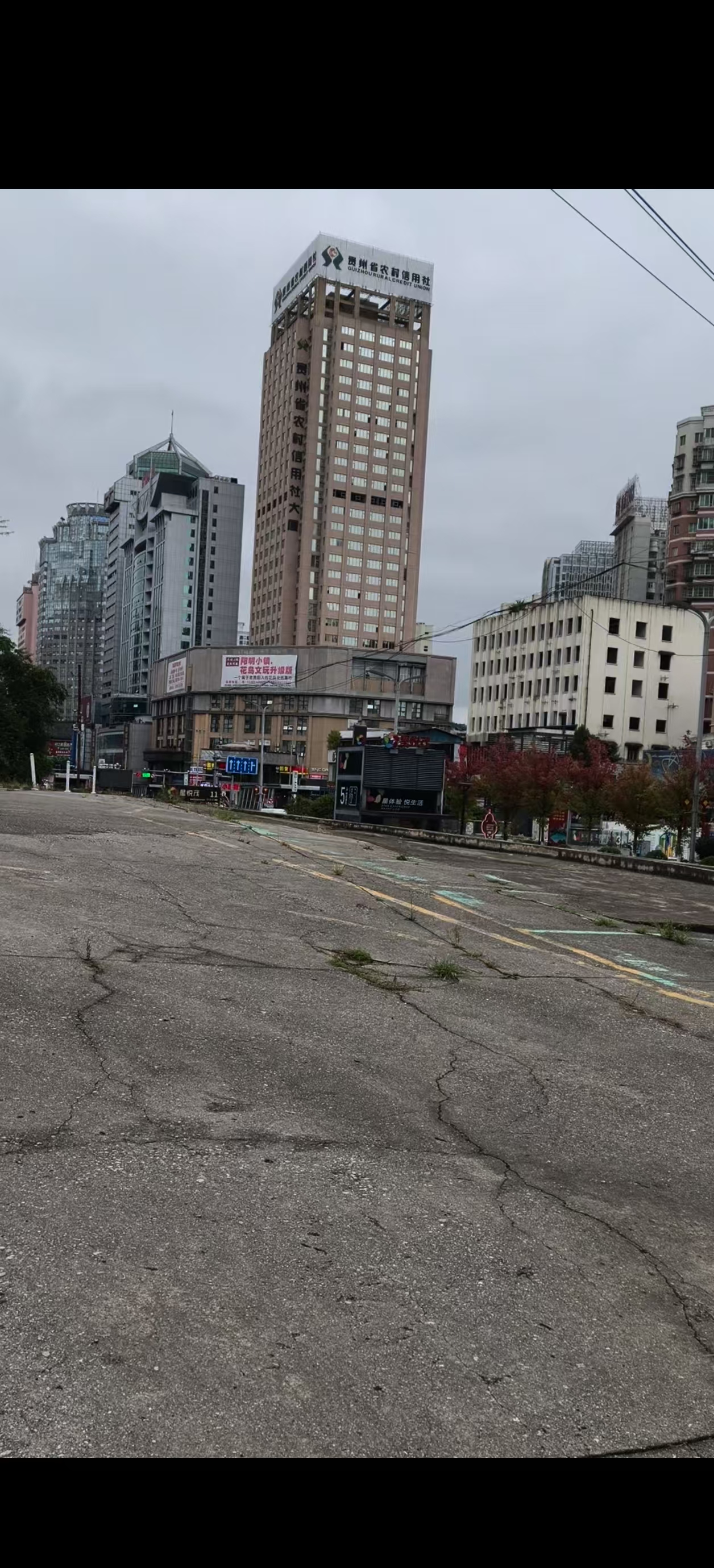 1764295687388493.jpg 0ee0cd28b7e4a016763b28f74fb68895.jpg