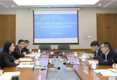 經(jīng)驗交流  共促發(fā)展——西南聯(lián)合產(chǎn)權(quán)交易所、西藏電子商務(wù)有限公司 與貴州陽光產(chǎn)權(quán)交易所交流座談