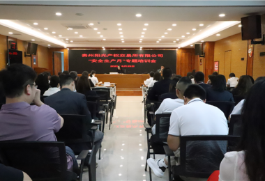 貴州陽(yáng)光產(chǎn)權(quán)交易所有限公司舉辦2023年“安全生產(chǎn)月”專題培訓(xùn)