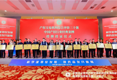 貴州陽光產(chǎn)權(quán)交易所當選中國產(chǎn)權(quán)協(xié)會常務(wù)理事單位