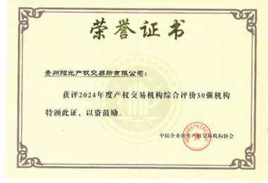 喜訊！貴州陽光產(chǎn)權(quán)交易所獲得2024年度全國產(chǎn)權(quán)交易機構(gòu)2項30強榮譽
