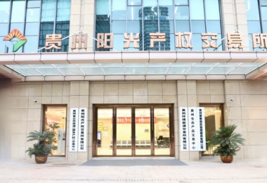 貴州要素商務(wù)管理服務(wù)有限公司掛牌成立  打造要素市場(chǎng)化服務(wù)新高地