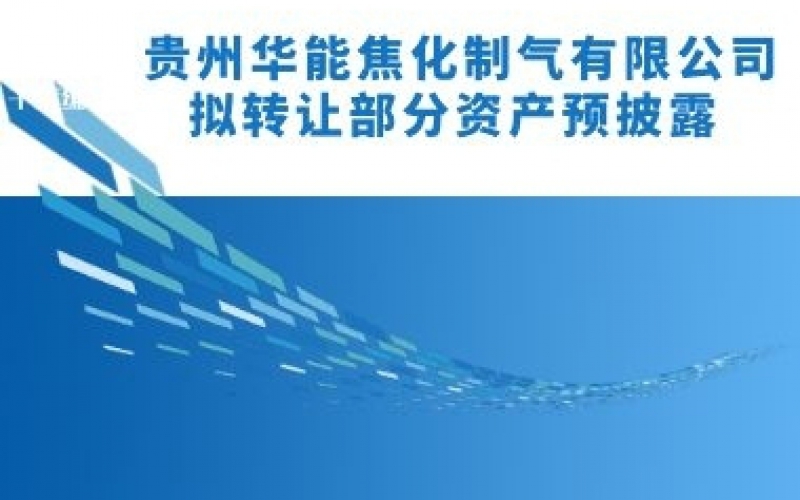 貴州華能焦化制氣有限公司擬轉(zhuǎn)讓部分資產(chǎn)預(yù)披露