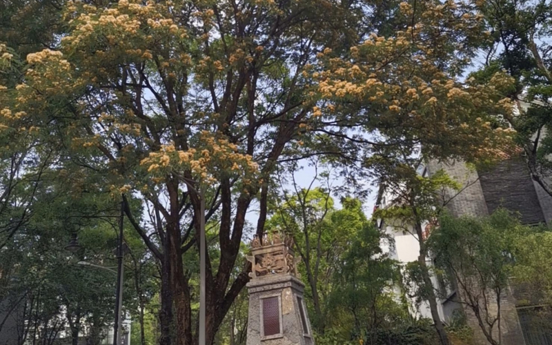 云南省大理山水間二期一組團(tuán)草鷺4－2號房產(chǎn)轉(zhuǎn)讓(二次掛牌)