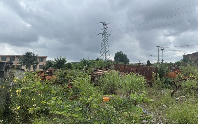 貴州水晶有機化工（集團）有限公司持有的4項廢舊物資轉(zhuǎn)讓(二次掛牌)